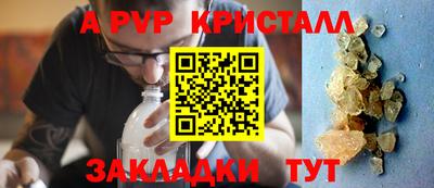 стафф Донской