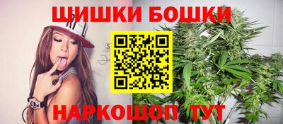стафф Донской