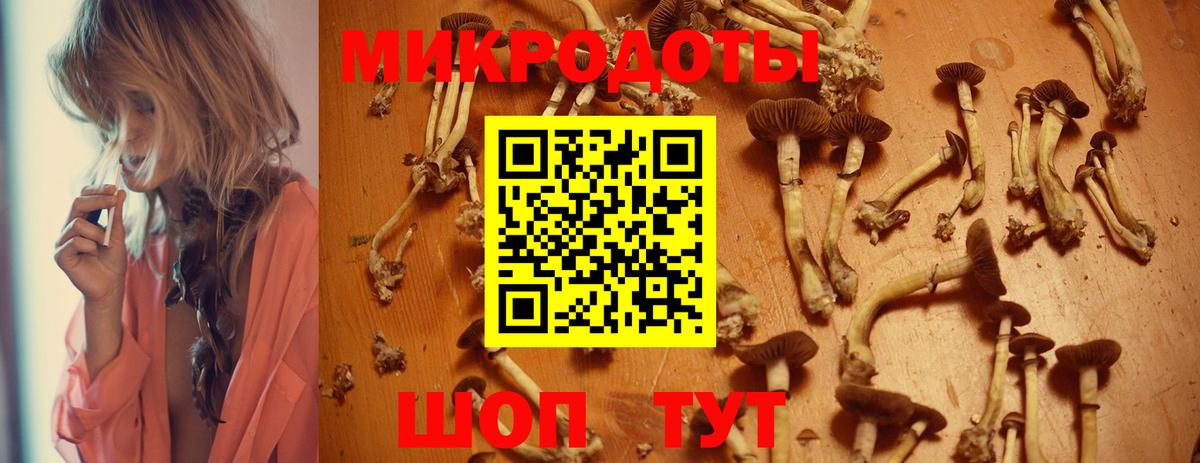 Нижнекамск  Галлюциногенные грибы Psilocybe  Вход с VPN 